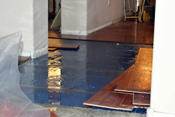 Professional Burst Pipe Cleanup technician working in Wake Forest, NC